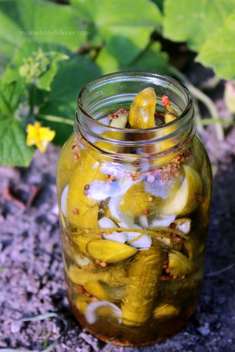 Refrigerator Pickles in a Jar