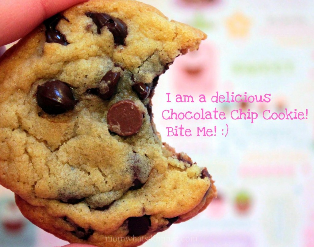 The Best Chocolate Chip Cookie Ever!